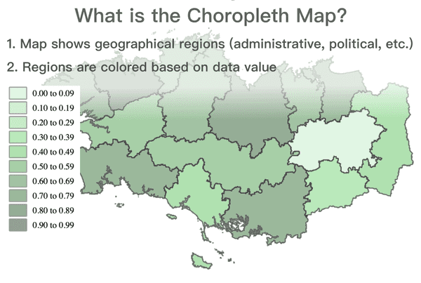 What is the Choropleth Map?